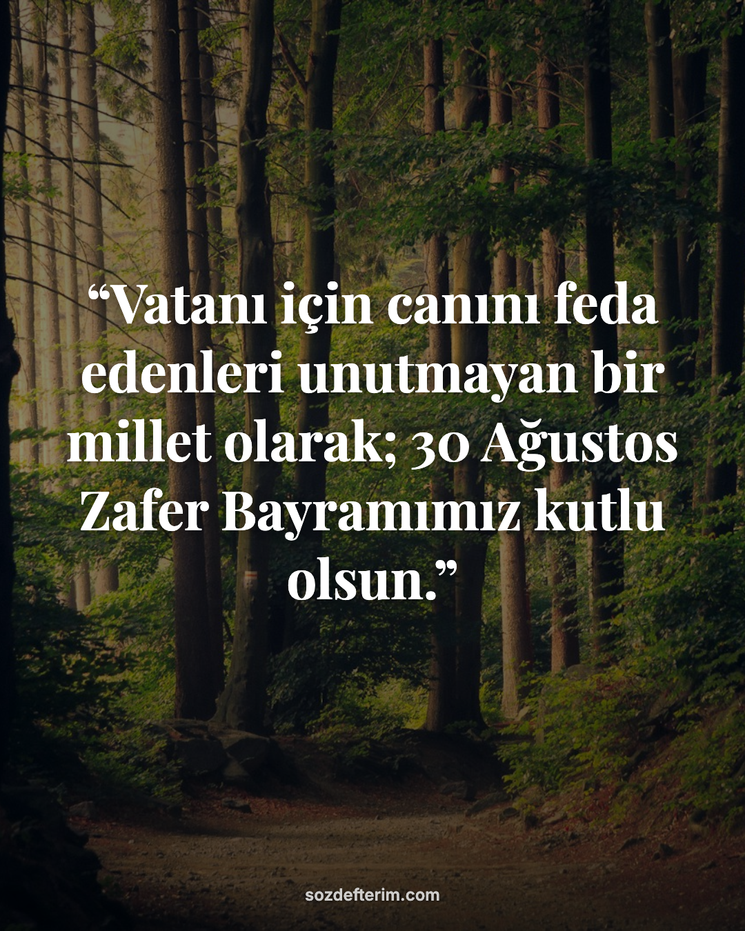 Vatanı için canını feda edenleri unutmayan bir millet olarak; 30 Ağustos Zafer B