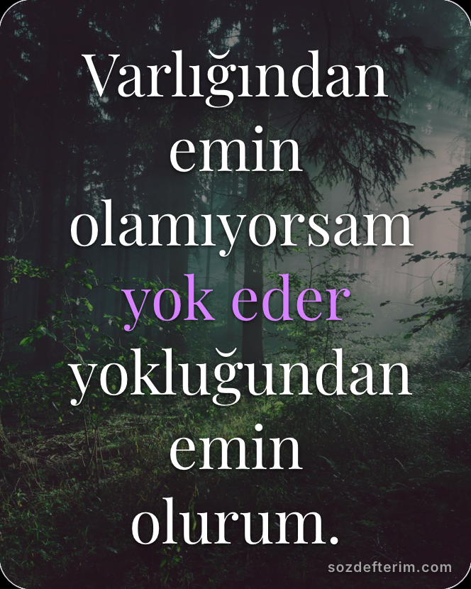 Varlığından emin olamıyorsam yok eder yokluğundan emin olurum.