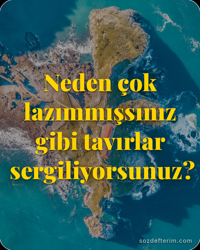 Neden çok lazımmışsınız gibi tavırlar sergiliyorsunuz?