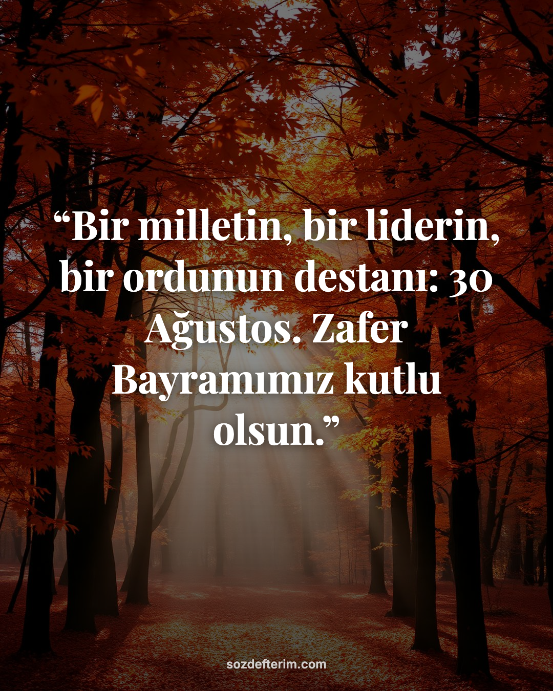 Bir milletin, bir liderin, bir ordunun destanı: 30 Ağustos. Zafer Bayramımız kut