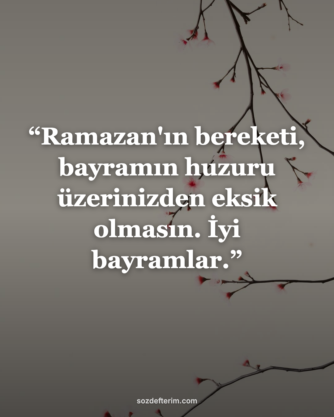 Ramazan'ın bereketi, bayramın huzuru üzerinizden eksik olmasın. İyi bayramlar.