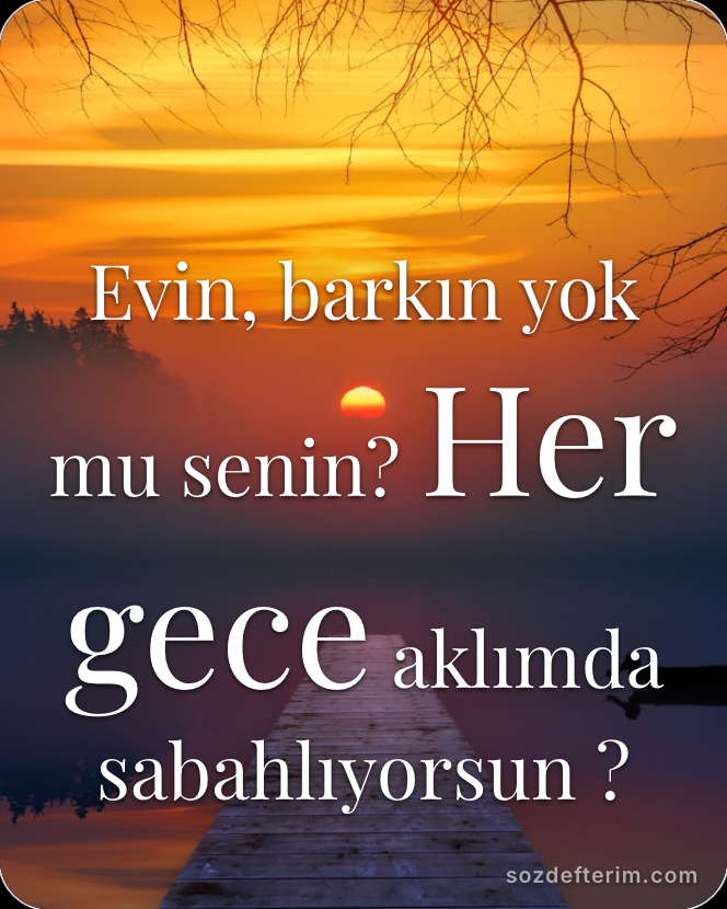 Evin, barkın yok mu senin? Her gece aklımda sabahlıyorsun ?