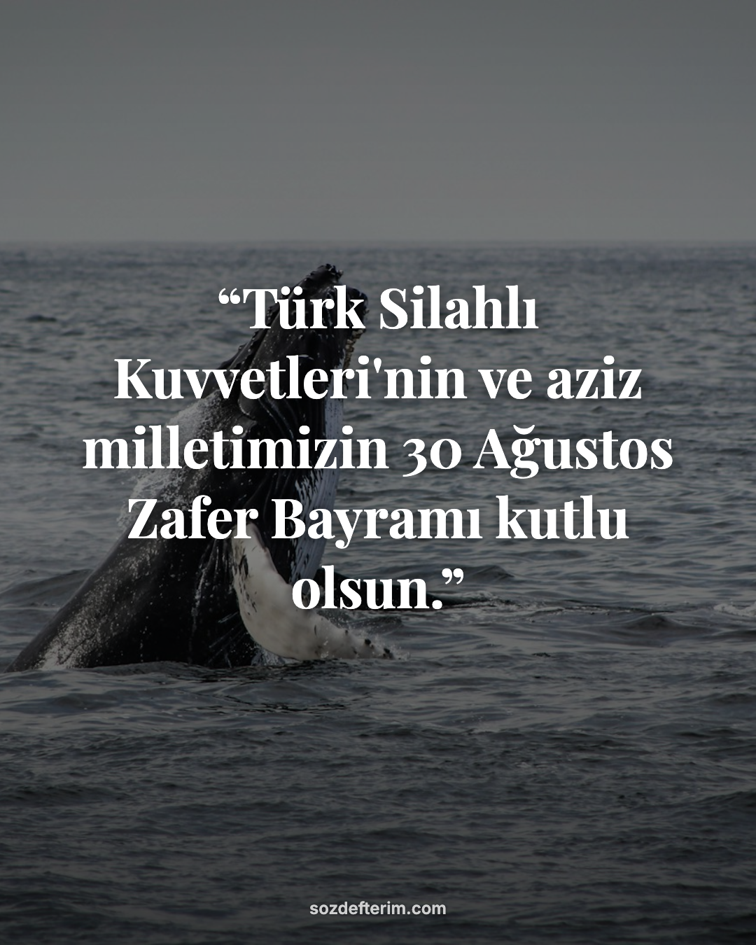 Türk Silahlı Kuvvetleri'nin ve aziz milletimizin 30 Ağustos Zafer Bayramı kutlu
